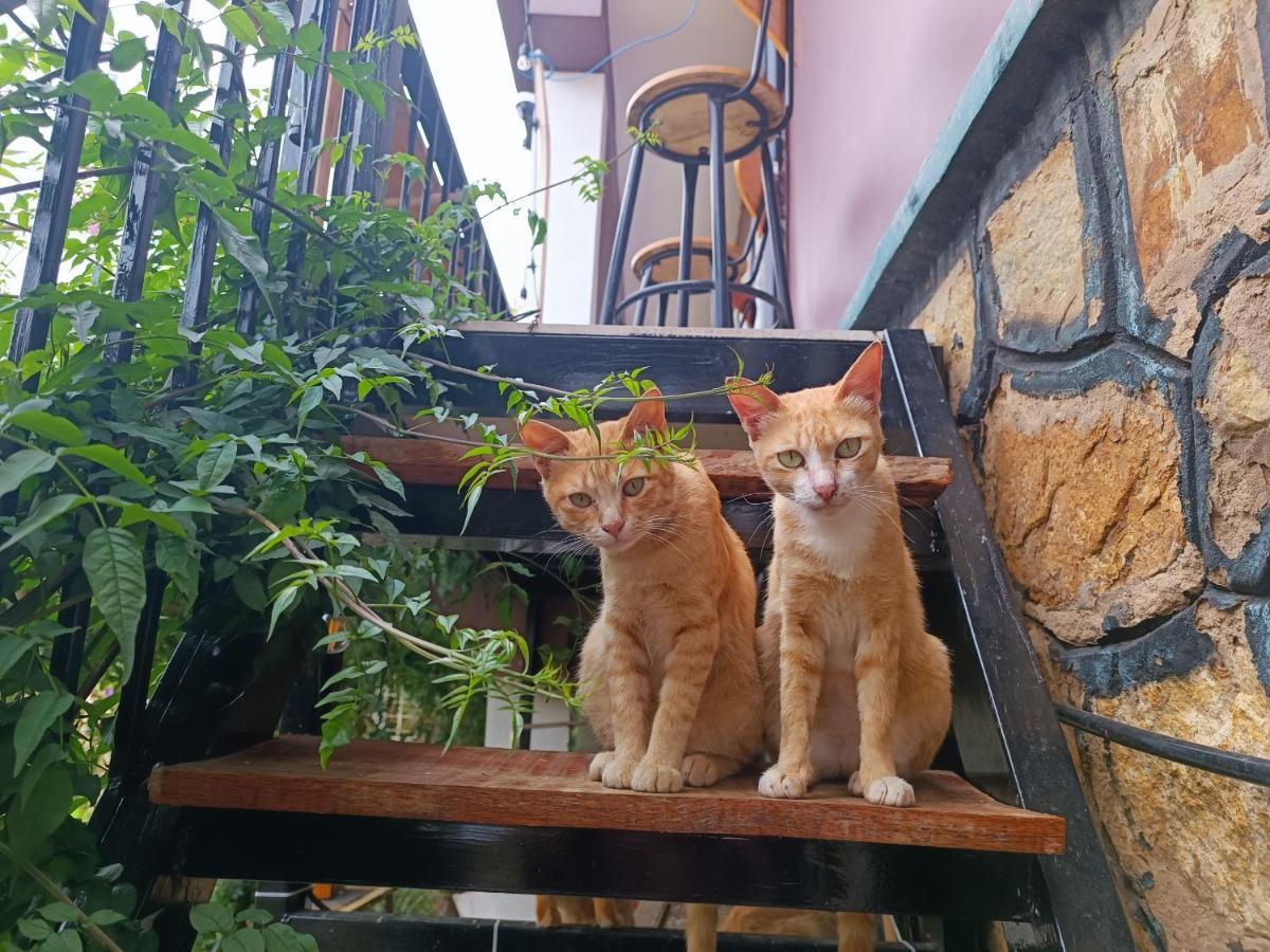 Appartamento The Burrow Dalat Esterno foto