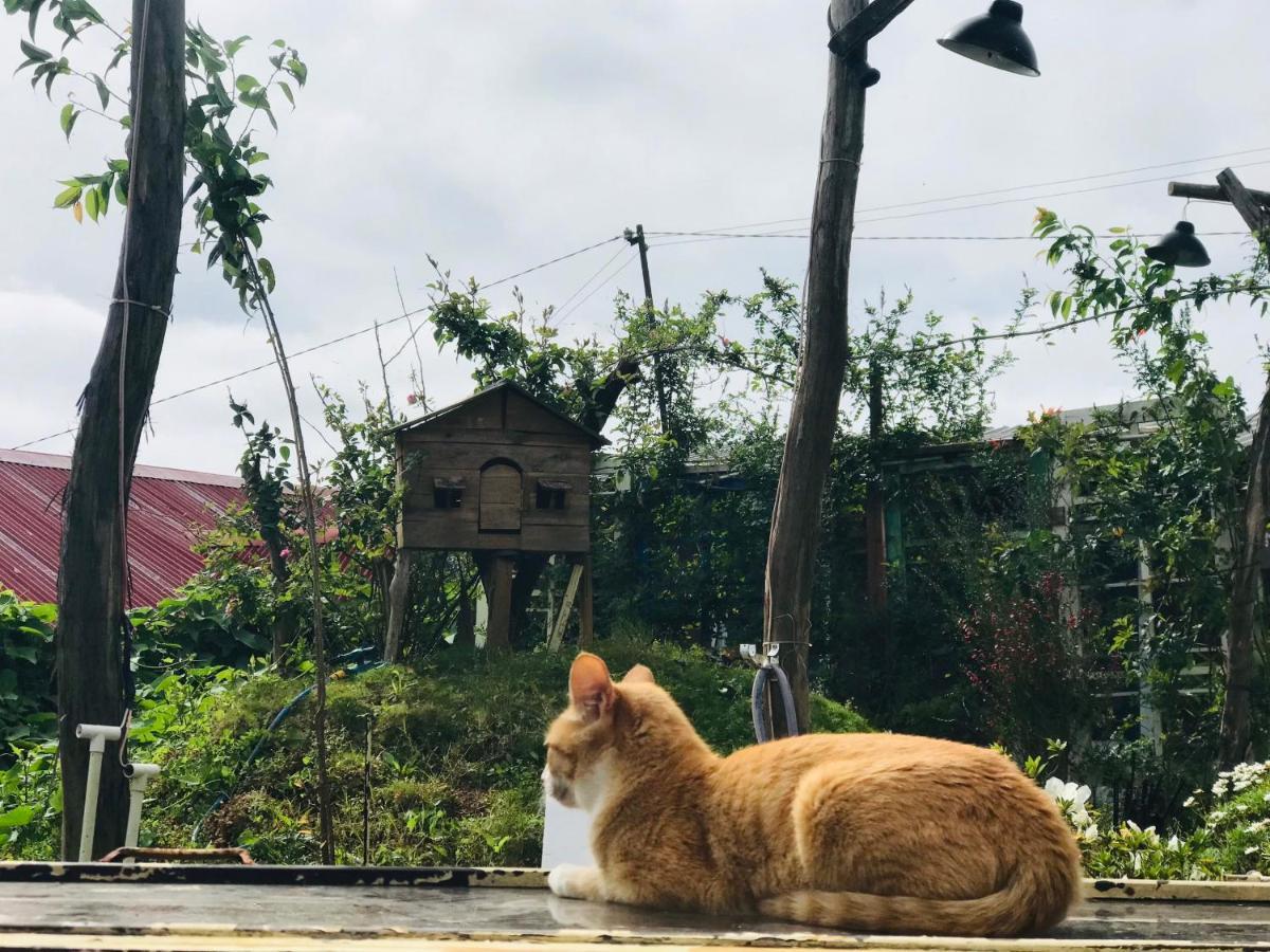 Appartamento The Burrow Dalat Esterno foto