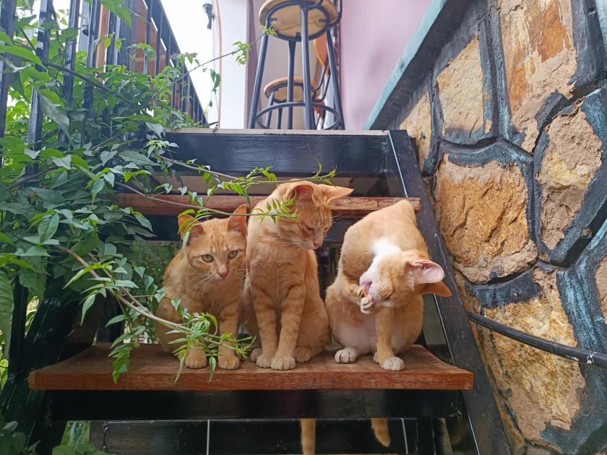 Appartamento The Burrow Dalat Esterno foto
