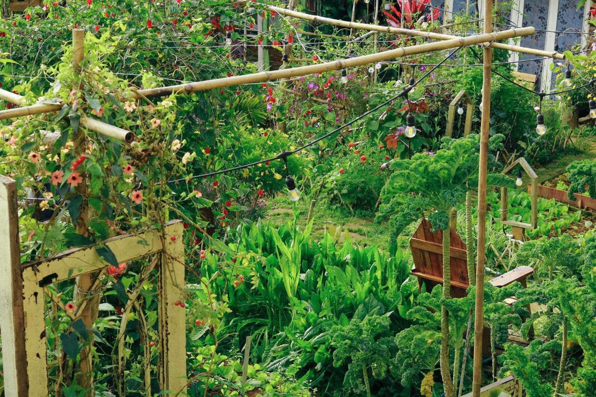 Appartamento The Burrow Dalat Esterno foto