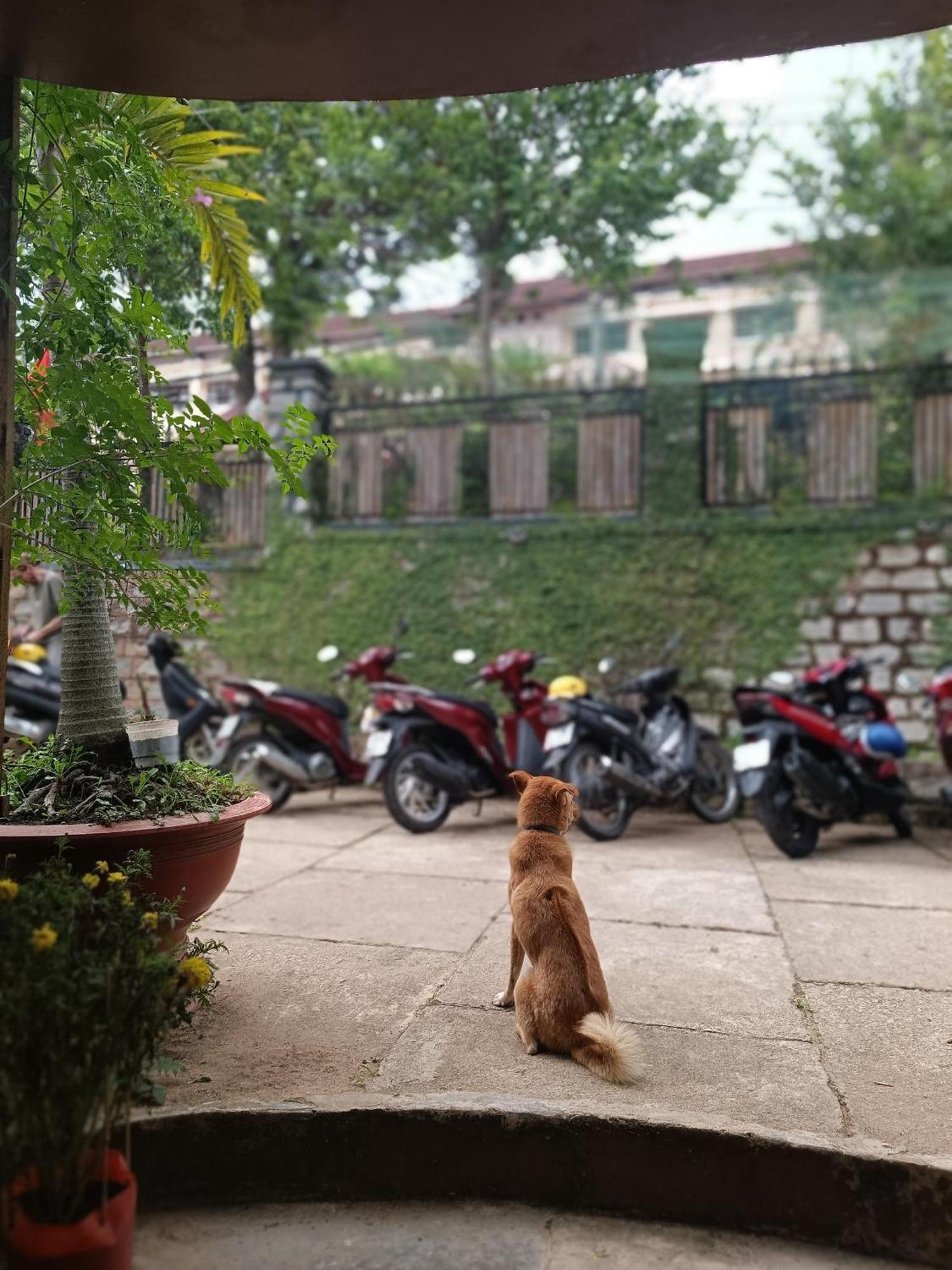 Appartamento The Burrow Dalat Esterno foto