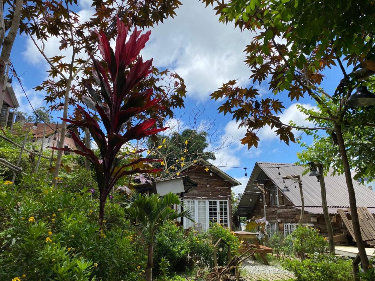 Appartamento The Burrow Dalat Esterno foto